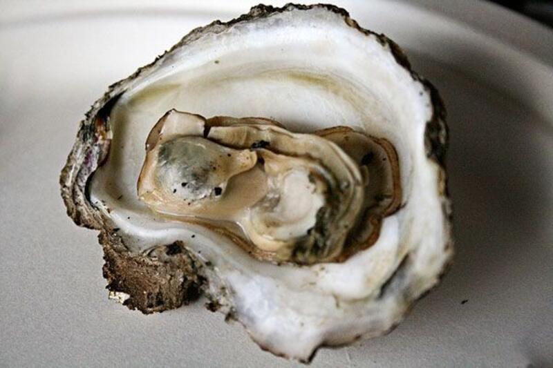 Steam Oysters